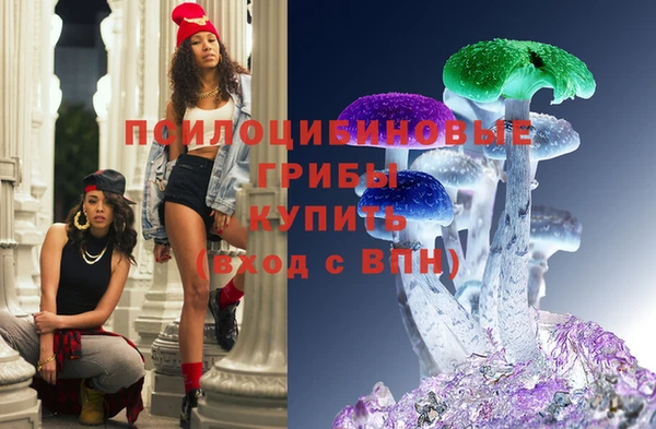 прущий лед Богородицк