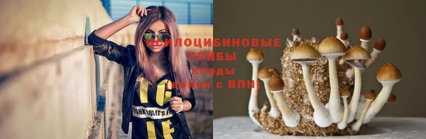 прущий лед Богородицк