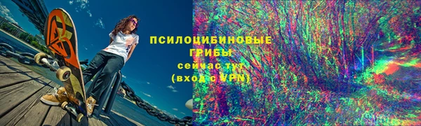 амф Богородск