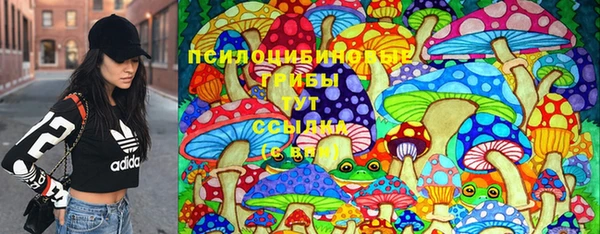 дживик Бородино