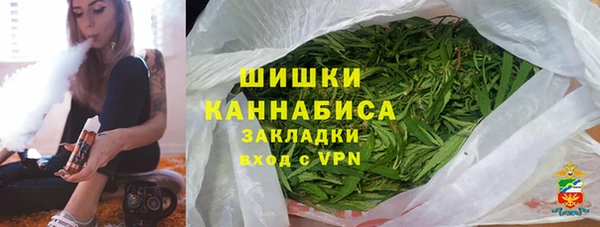 дживик Бородино