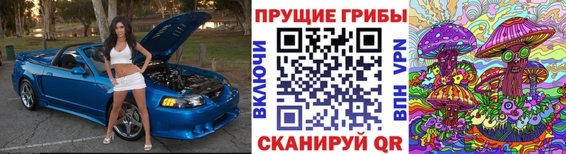Галлюциногенные грибы мицелий  Верхний Уфалей 
