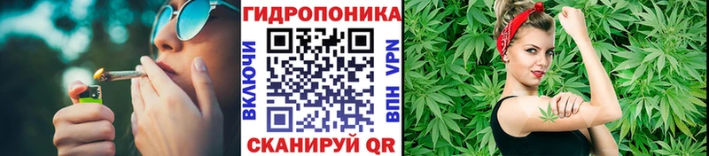 omg маркетплейс  Верхний Уфалей  Бошки марихуана ГИДРОПОН 